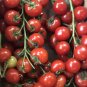 Cherry Tomato Seeds - Tomato seeds - Non GMO