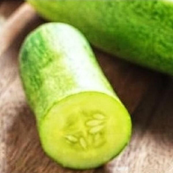Straight Eight Cucumber Seeds NON-GMO Heirloom Fresh Garden Seeds