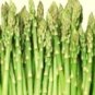 Mary Washington Asparagus Seeds NON-GMO Heirloom Fresh Garden Seeds