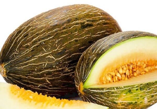 Piel de Sapo Melon Seeds NON-GMO Heirloom Fresh Garden Seeds