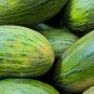 Valencia Late Melon Seeds NON-GMO Heirloom Fresh Garden Seeds