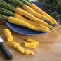 Carrot Seeds - Yellowstone - Non Gmo