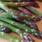 Mary Washington Asparagus Seeds NON-GMO Healthy Vegetable