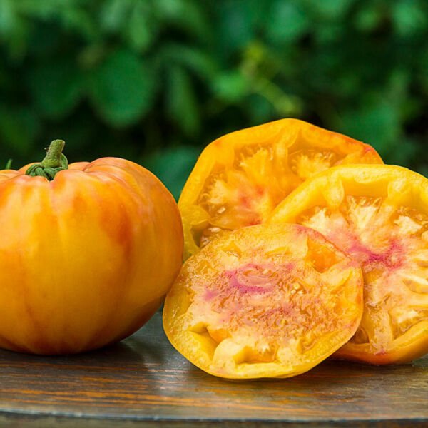 Gold Medal Tomato Seeds Ruby Gold Beefsteak Slicing NON-GMO