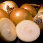 Yellow Sweet Spanish Onion Seeds NON-GMO