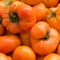 Dill Bouquet Vanderbilt Heirloom NON-GMO Easy Grow Herb
