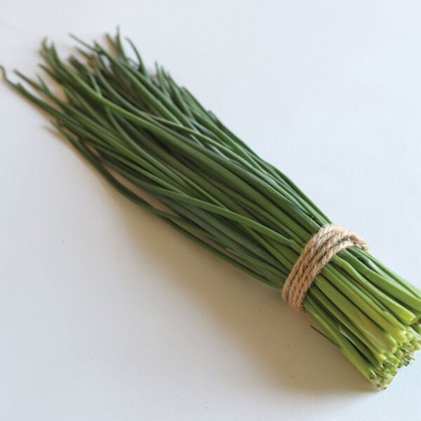Chive Seeds - Staro - Herb Seeds - Non Gmo