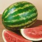 Fresh Garden 25 Crimson Sweet Watermelon Seeds NON-GMO