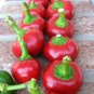 Cherry Pepper Seeds (Large Red) 30 Seeds Non-GMO