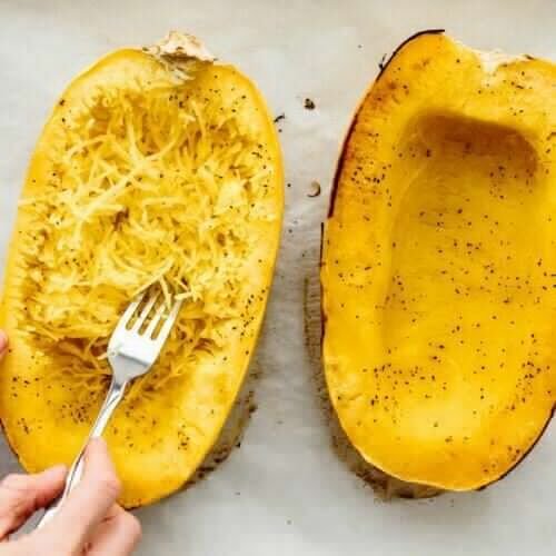 Spaghetti Squash Seeds 10 Seeds Non-GMO
