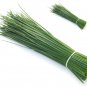 Chives - Seeds - Organic - Non Gmo - Heirloom Seeds – Herb Seeds