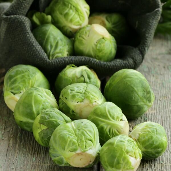Long Island Brussel Sprout - Seeds - Organic - Non Gmo - Heirloom Seeds