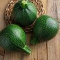 Round Zucchini - Seeds - Organic - Non Gmo - Heirloom Seeds – Vegetable Seeds