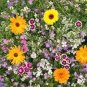 Fragrant Flowers Blend - Seeds - Organic - Non Gmo - Heirloom Seeds