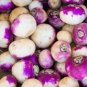 Purple Top Turnips - Seeds - Organic - Non Gmo - Heirloom Seeds – Vegetable Seed