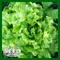 Granex Yellow Onion Seeds - 300 SEEDS
