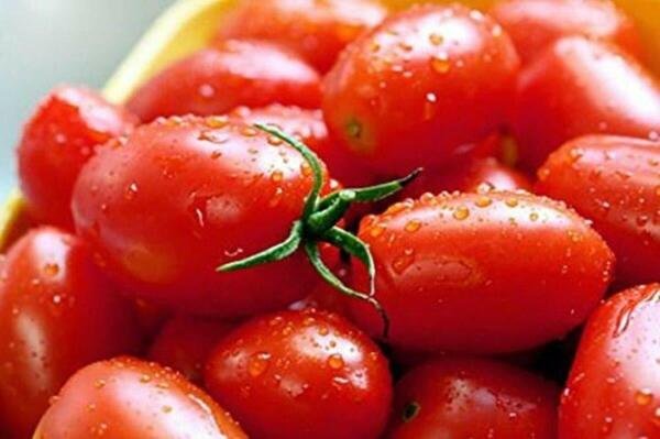Crovarese Italian Grape Tomato Seeds NON-GMO