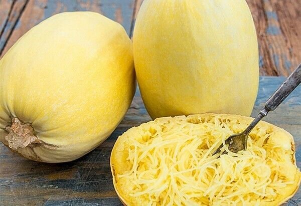 Heirloom Spaghetti Squash Seeds 20 Seeds