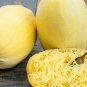Heirloom Spaghetti Squash Seeds 20 Seeds