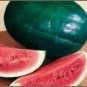 Florida Giant Watermelon Seeds 25 Ct Fruit Melon Heirloom NON-GMO