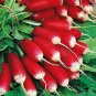 White Icicle Radish Seeds Non-GMO
