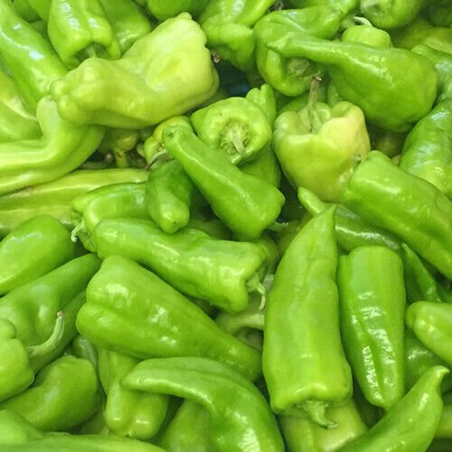 Tabasco Pepper Seeds Non-GMO