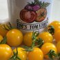 Crookneck Summer Squash Seeds Organic