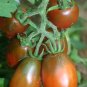 Little Fingers Carrots Seeds Heirloom Vegetable Cold Tolerant