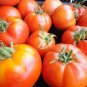 Clear Pink Tomato Seeds Heirloom Organic