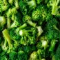 Organic Broccoli Seeds Heirloom Non-GMO Fresh Garden Seeds