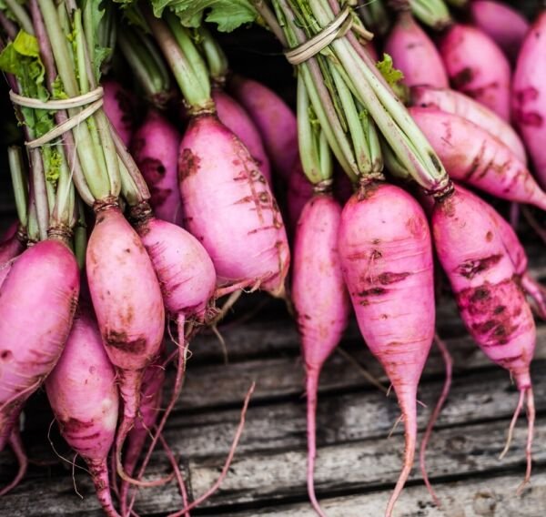 Radish Seeds - Fast Growing Heirloom Non GMO Purple Plum