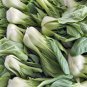 Bok Choy Cabbage Seeds Heirloom Non-GMO Fresh Garden Seeds