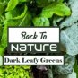 Dark Leafy Greens Microgreens - Seed Blend - Organic & Non Gmo - Heirloom Seeds