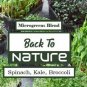 Spinach Kale Broccoli Microgreen Seed Blend - Non Gmo - Heirloom Seeds
