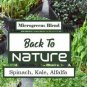 Spinach Kale Alfalfa Microgreen Seed Blend - Organic Seeds - Non Gmo