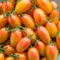 Blush Tomato Seeds Organic Rare Early Maturing Striped Tomatoes