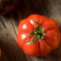 Floradel Tomato Seeds Heirloom Heat Resistant Non GMO