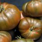 Black From Tula Heirloom Tomato Seeds Organic Rare Black Tomatoes