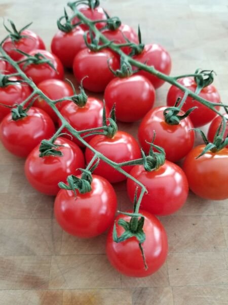 Chadwick Cherry Heirloom Tomato Seeds Vegetable Sweet