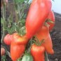 Hogsheart Paste Tomato Seeds Heirloom Sauce Processing