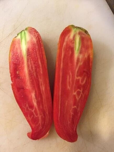 Jersey Devil Heirloom Tomato Seeds Paste Sauce Canning