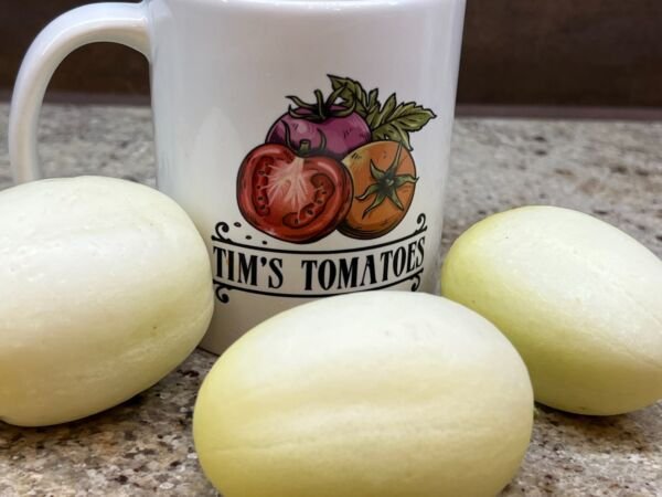 Dragon's Egg Cucumber Seeds Organic