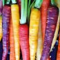 Heirloom Rainbow Carrot Mix Heirloom Organic Exotic