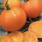 Valencia Tomato Seeds Heirloom Organic