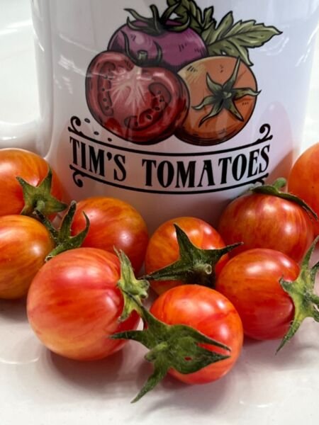 Tropical Sunset Tomato Seeds Organic Rare Variety Sweet Vegetable