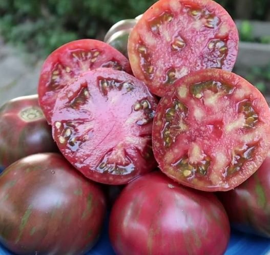 Pink Boar Tomato Seeds Heirloom Organic Rare Variety Multi-Colored
