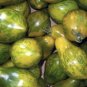 Mint Julep Tomato Seeds Organic Rare Green When Ripe Exotic