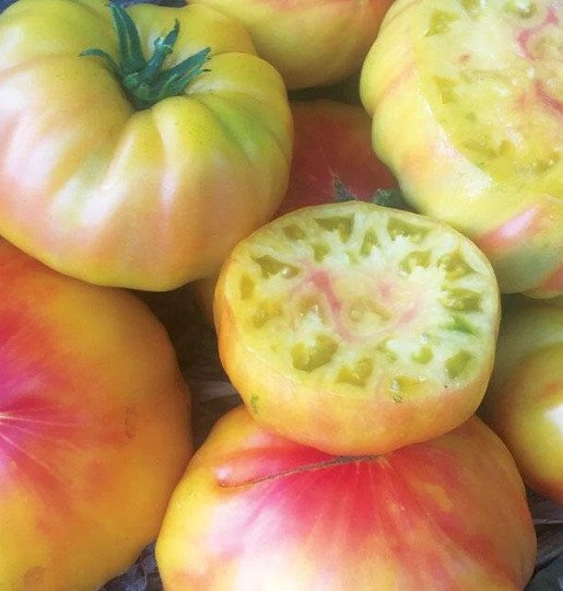 Striped German Heirloom Tomato Seeds Variety Beefsteak