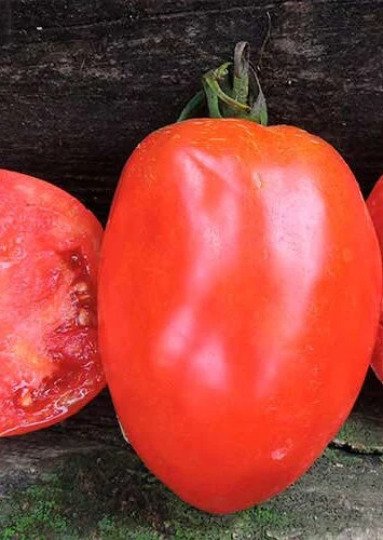 Salvaterra's Select Heirloom Tomato Seeds Paste Canning