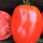 Salvaterra's Select Heirloom Tomato Seeds Paste Canning